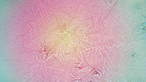 More efficient, sensitive estrogen detection developed
