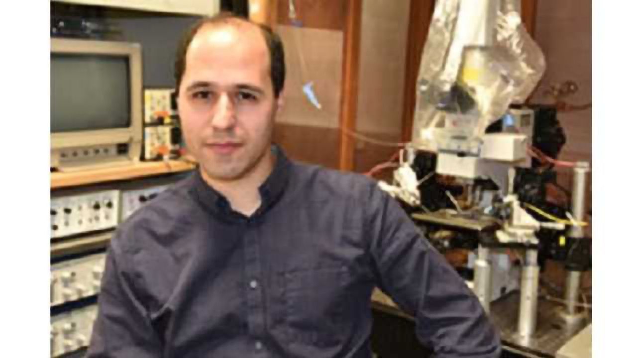 New genetic clues found in fragile X syndrome