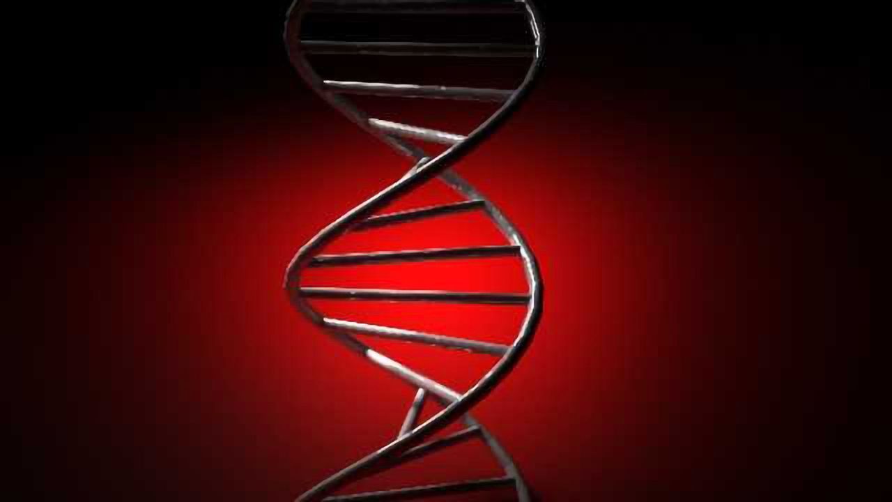 Study identifies two genes that boost risk for PTSD