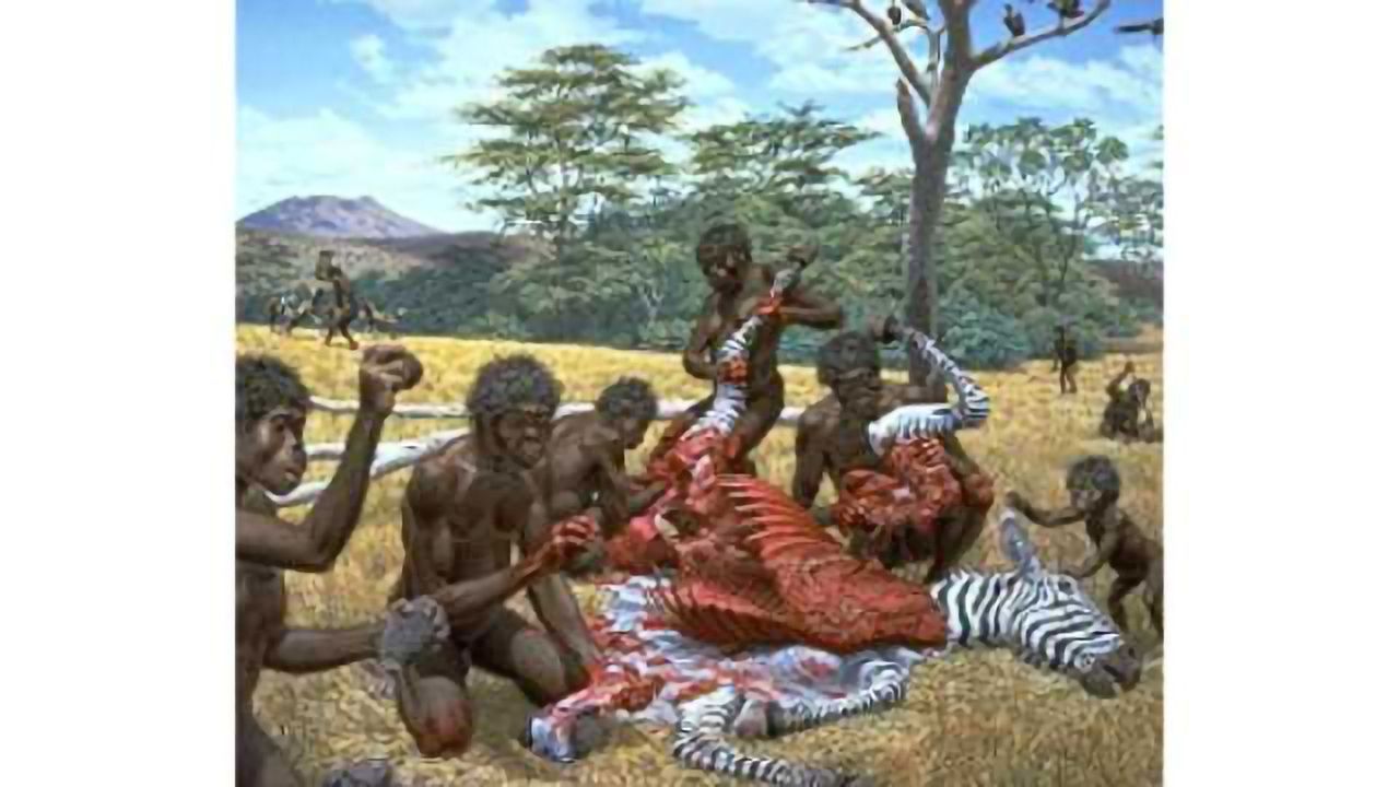 World’s oldest butchery tools gave evolutionary edge to human communication