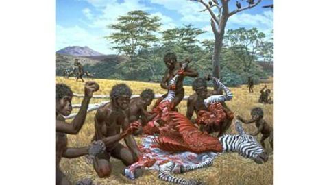 World’s oldest butchery tools gave evolutionary edge to human communication