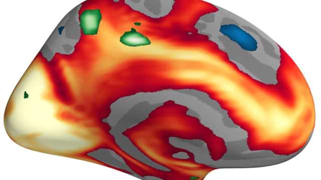 Men and Women Process Emotions Differently