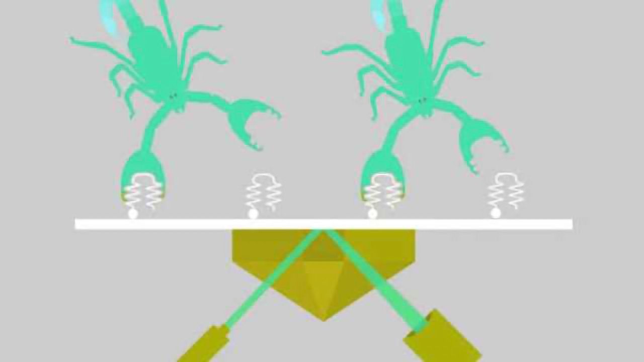 Learning from scorpions to control impulses
