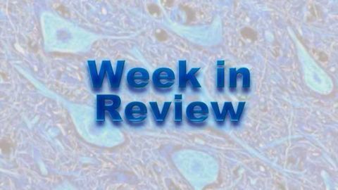 This Week on NeuroScientistNews: 19 January – 23 January