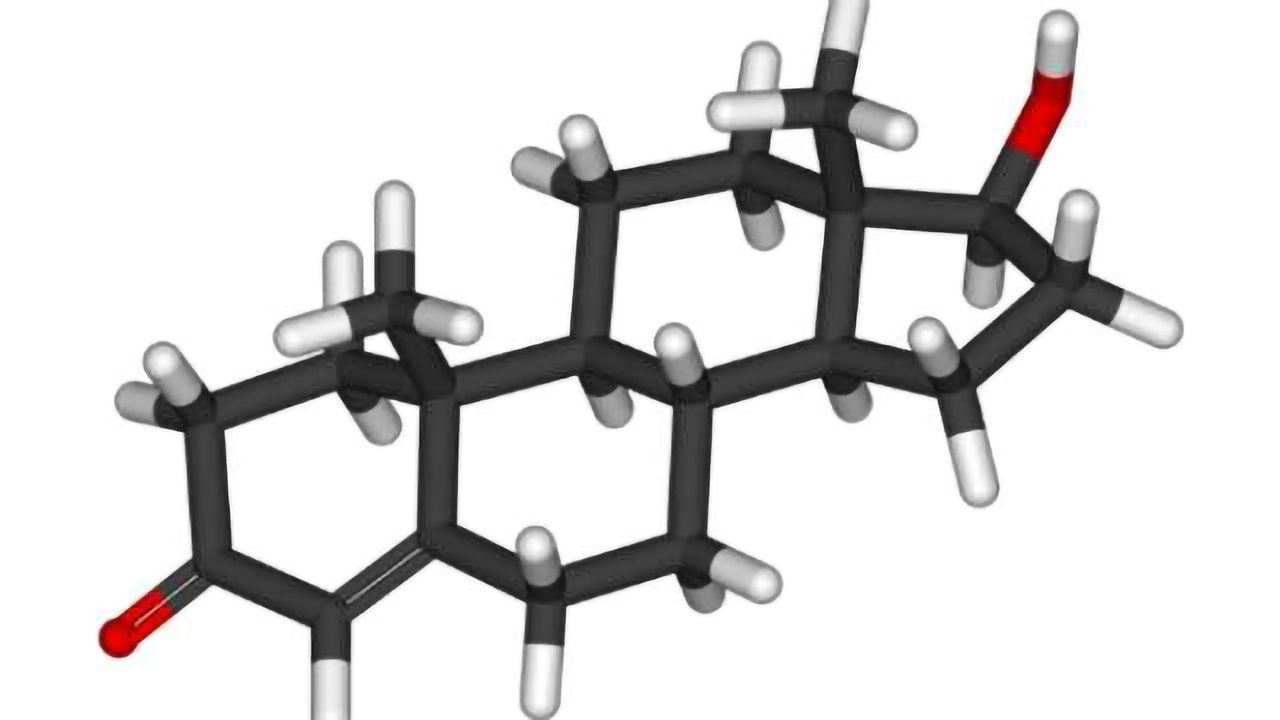Testosterone helps to bind antidepressants in the brain