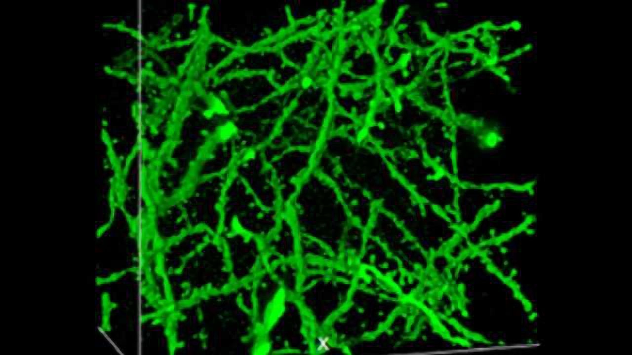Diaper compound may expand power of microscopes