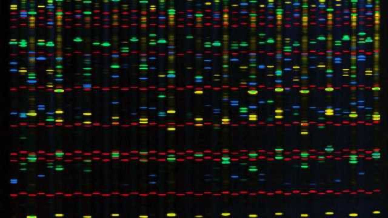 Largest-ever autism genome study finds most siblings have different autism-risk genes