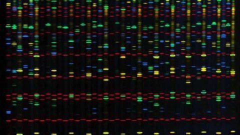 Largest-ever autism genome study finds most siblings have different autism-risk genes