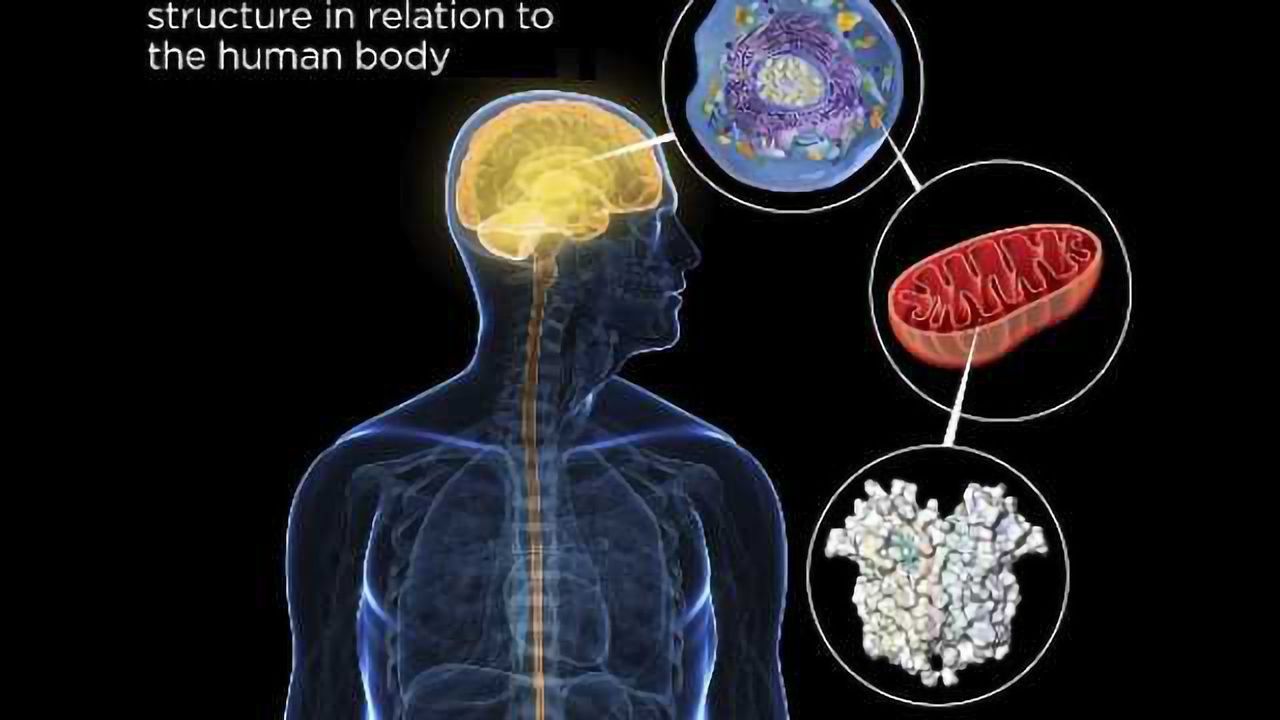 First-ever view of protein structure may lead to better anxiety drugs