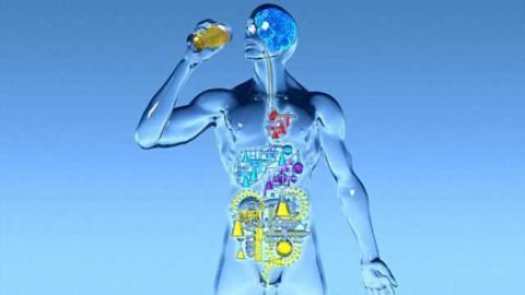 FDA approves first-of-kind device to treat obesity