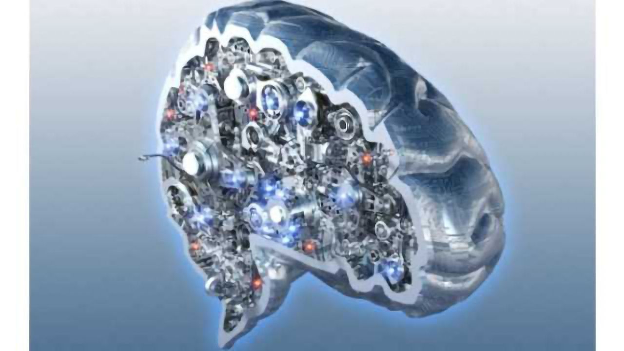 Complex environments push 'brain' evolution