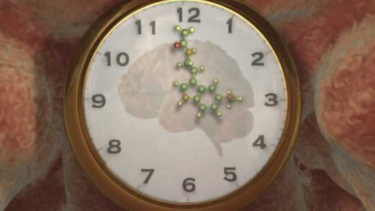 New ‘reset’ button discovered for circadian clock