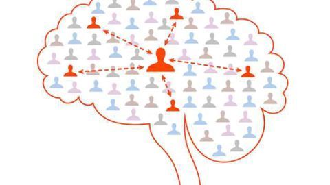 The brain’s social network: Nerve cells interact like friends on Facebook
