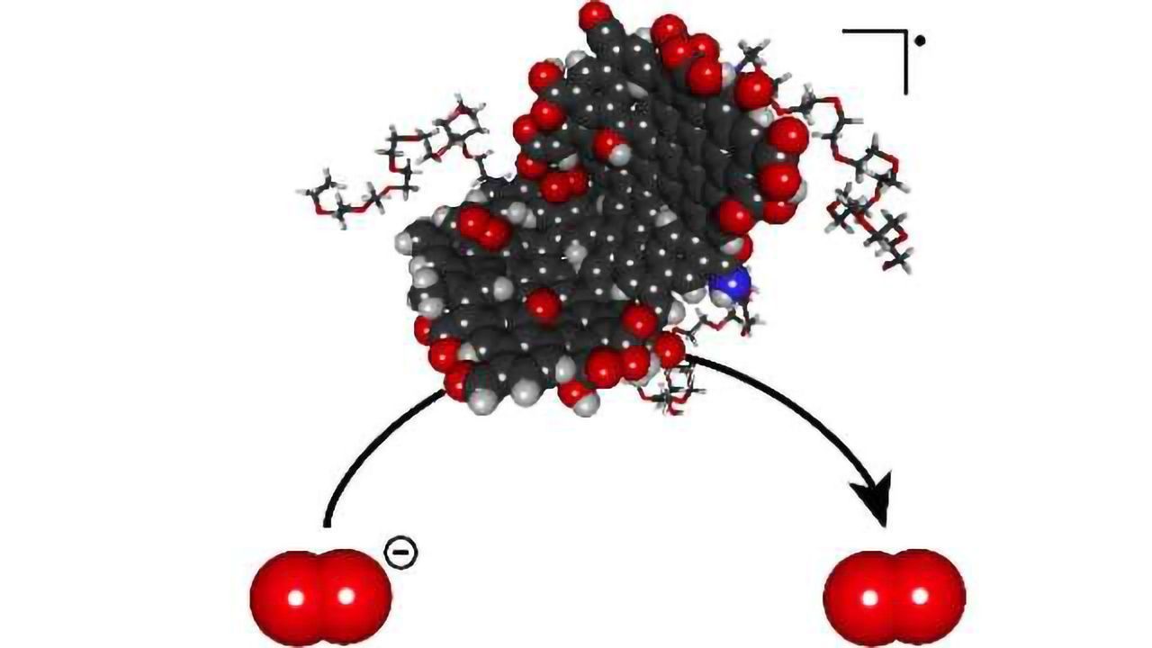 Nano-antioxidants prove their potential