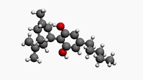 How CBD, a component in marijuana, works within cells