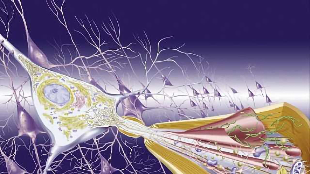 Promising results for new Alzheimer therapy