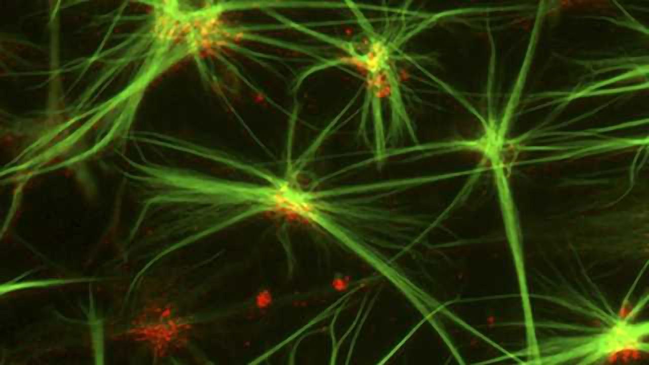 Researchers Discover Potential New Therapy for Opioid Tolerant Patients