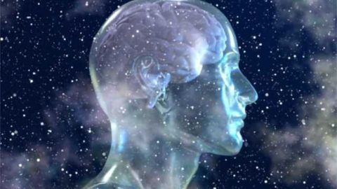 New brain mapping reveals unknown cell types
