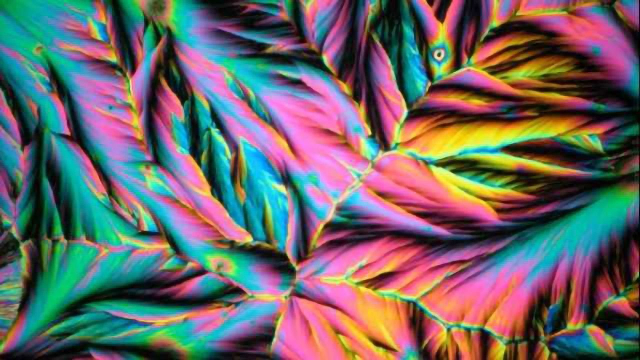 Deconstructing mental illness through ultradian rhythms