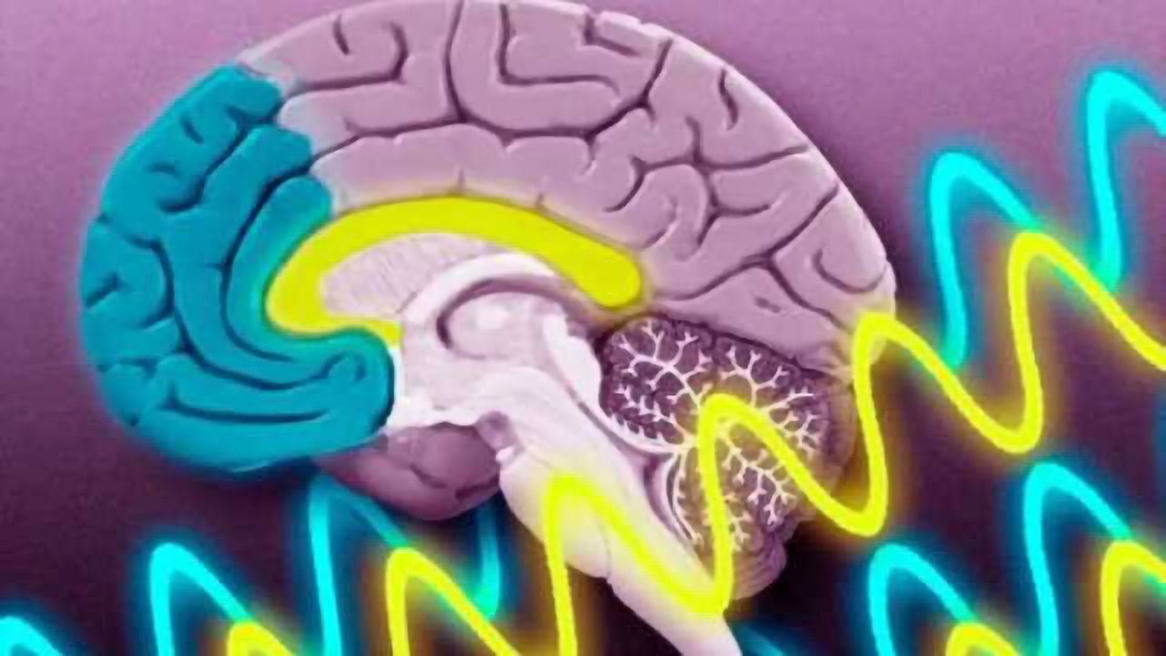 How brain waves guide memory formation