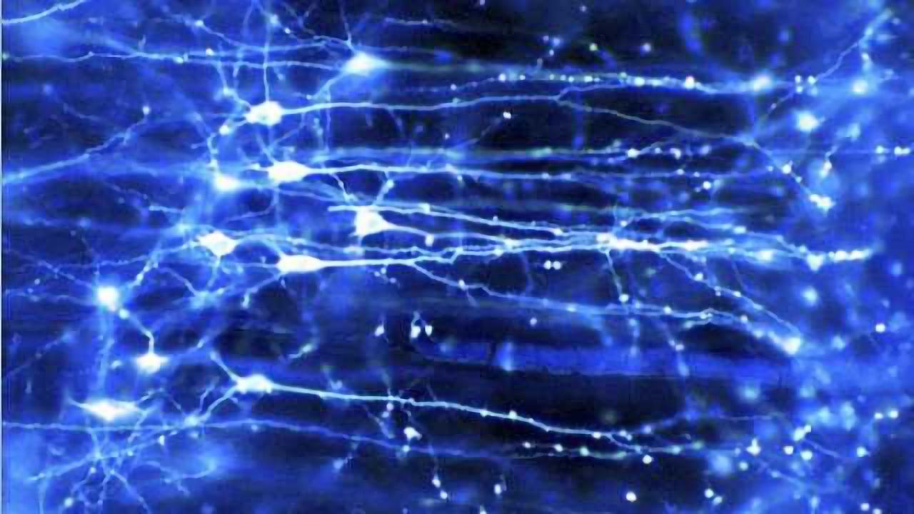 Neuroscientists perform an important step towards cell therapy for diseases of the cerebral cortex