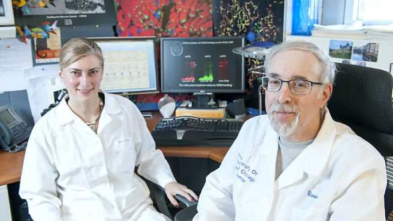 Strong genetic risk factor for MS discovered in family of five affected siblings