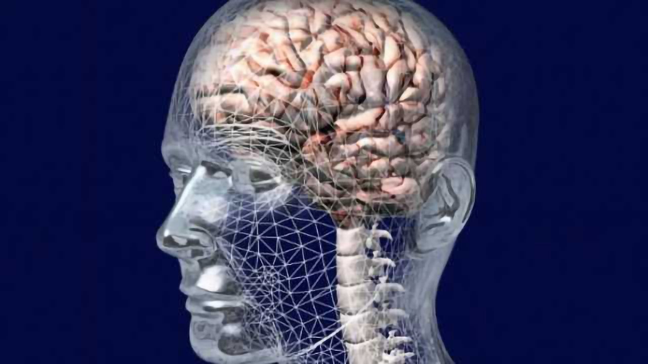Human brains age less than previously thought