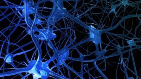 Antibodies to brain proteins may trigger psychosis