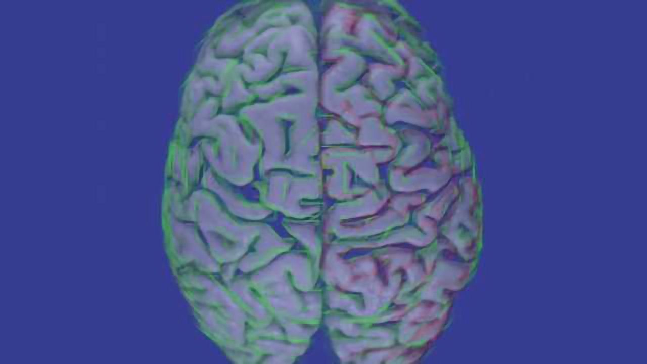 Researchers map ‘switches’ that shaped the evolution of the human brain