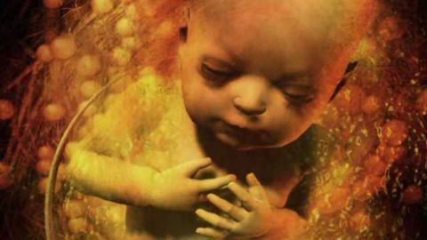 High-normal thyroid hormone level in pregnancy may affect fetal brain development
