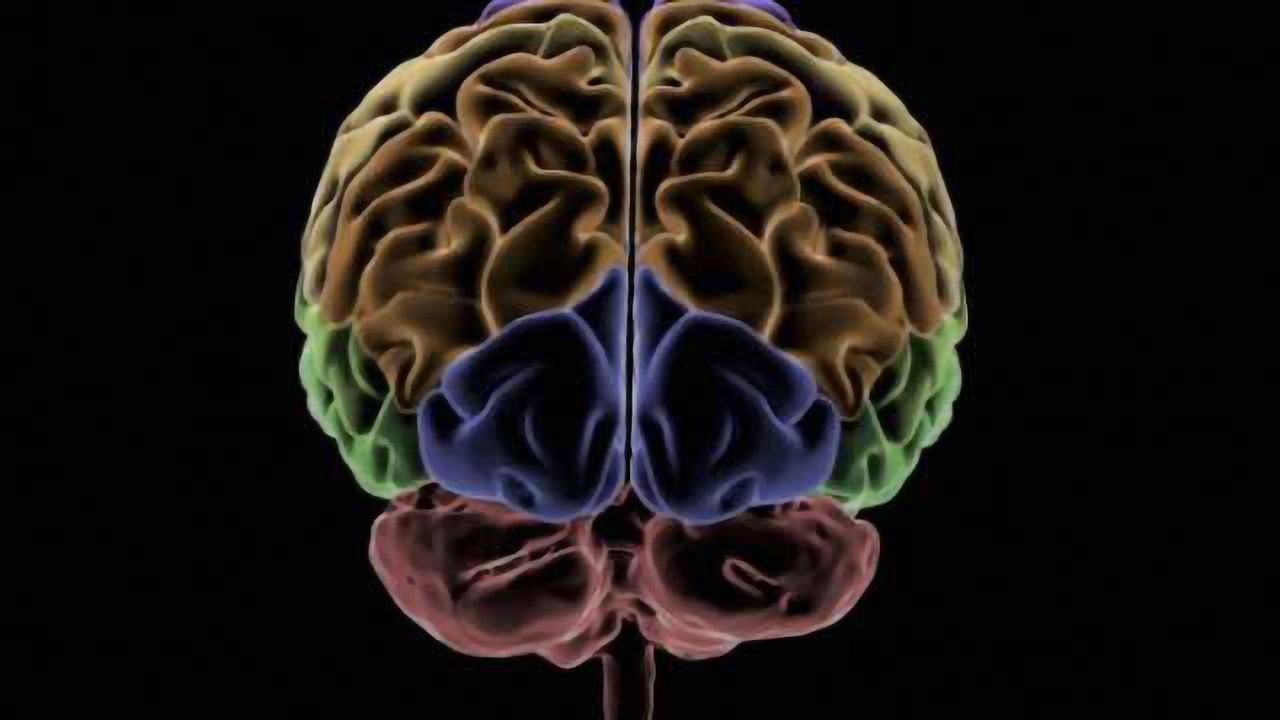 'Ouch zone' in the brain identified