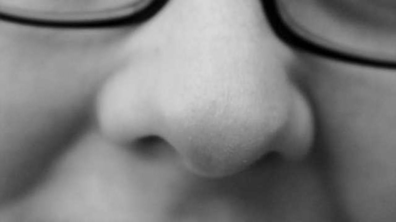 Understanding how neurons shape memories of smells