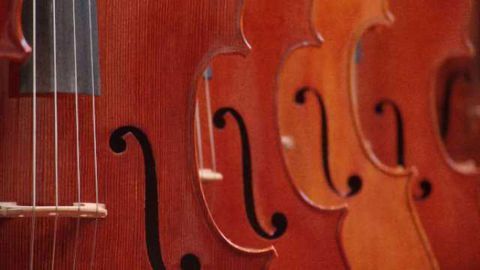 Listening to classical music modulates genes responsible for various brain functions