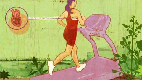 Study shows why exercise magnifies exhaustion for chronic fatigue syndrome patients