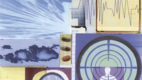 Key cell type in the brain that controls body clock circadian rhythms identified