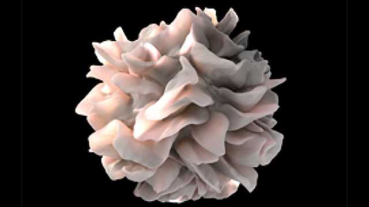 Strengthening the immune system’s fight against brain cancer