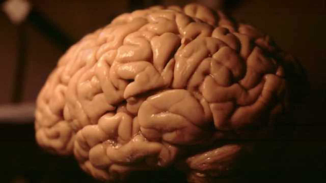 Researchers pinpoint potential new drug target for protection against certain neurodegenerative diseases