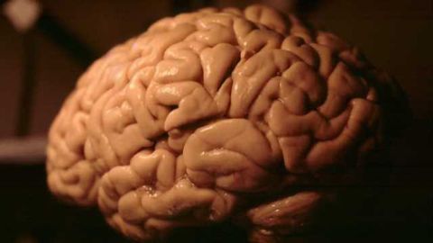 Researchers pinpoint potential new drug target for protection against certain neurodegenerative diseases