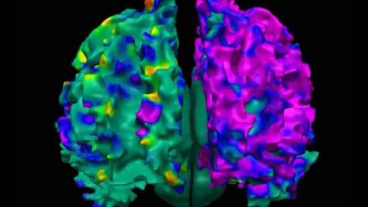 Prenatal exposure to common air pollution linked to cognitive & behavioral impairment
