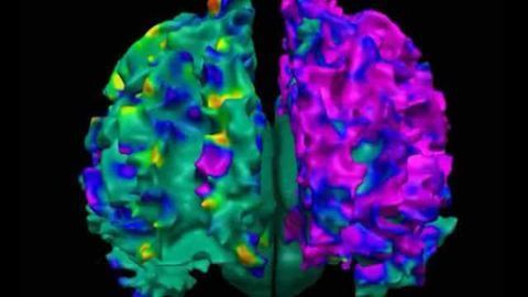 Prenatal exposure to common air pollution linked to cognitive & behavioral impairment