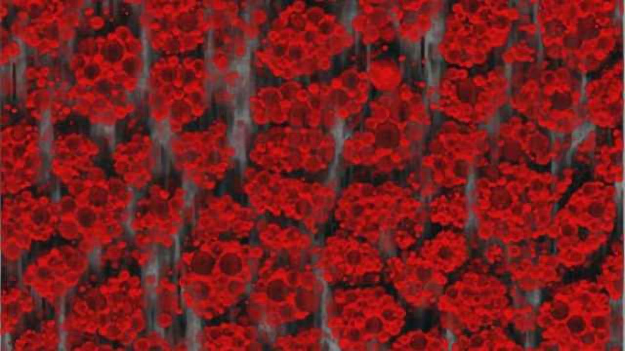 Body’s good fat tissue communicates with brain through sensory nerves, researchers find