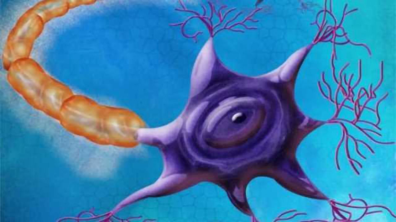 Researchers Create “Wikipedia” for Neurons
