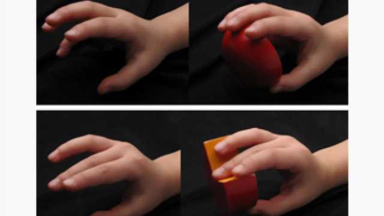 Touch-sensing neurons are multitaskers