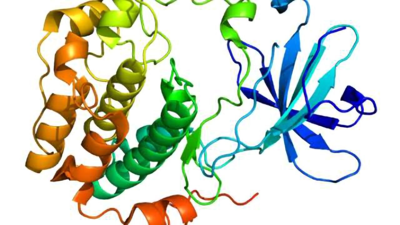 How molecule protects brain cells in Parkinson’s disease model uncovered