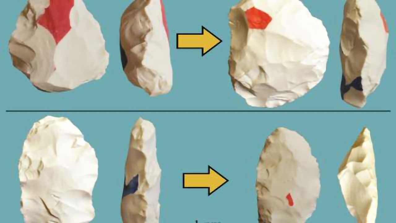 Complex cognition shaped the Stone Age hand axe, study shows