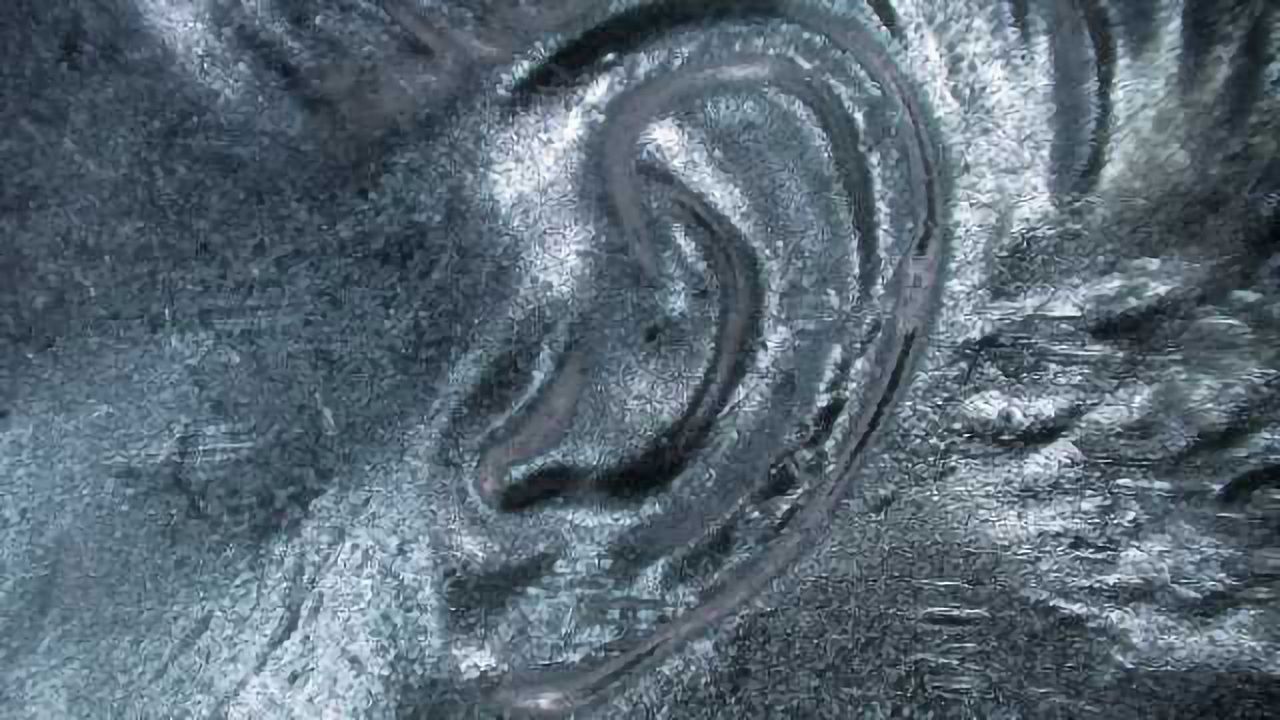 In search of tinnitus, that phantom ringing in the ears