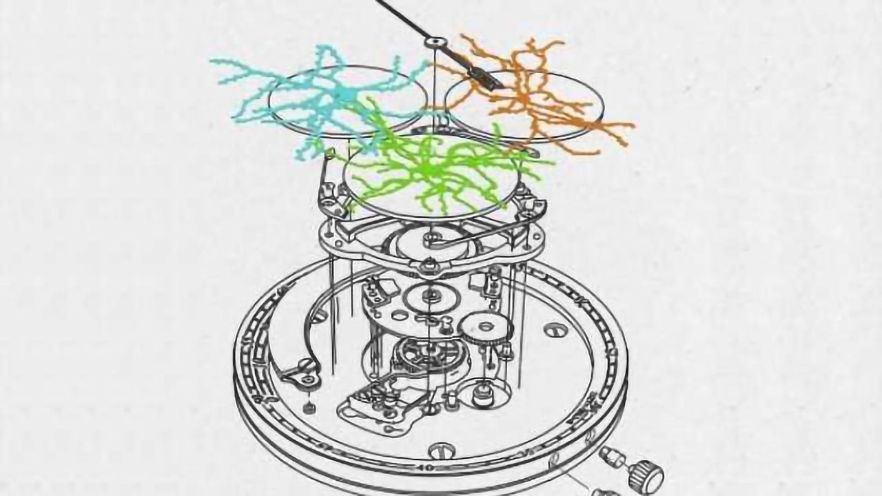 How does the brain keep track of time?