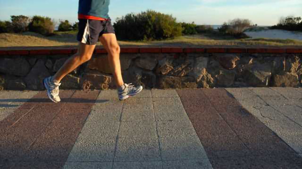 Study finds cardiorespiratory fitness contributes to successful brain aging