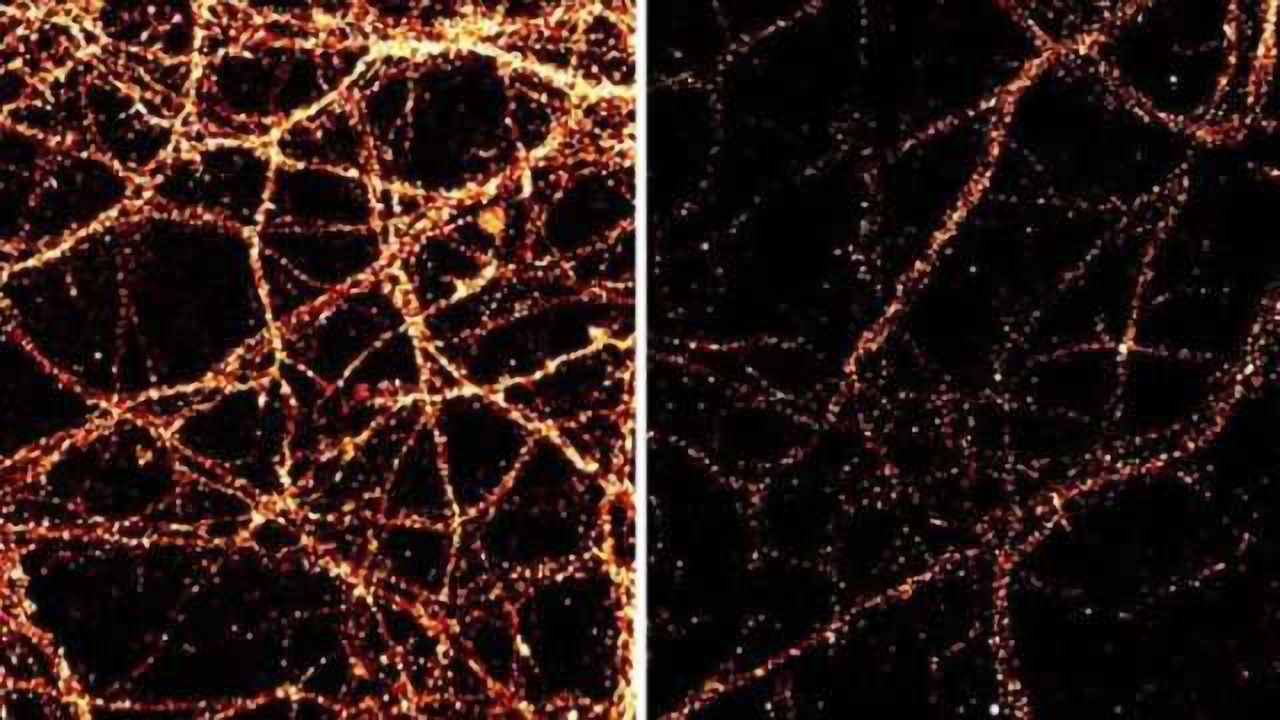 Neurons constantly rewrite their DNA