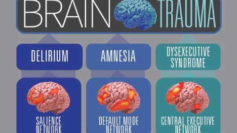 Report: Brain-injured patients need therapies based on cognitive neuroscience